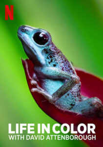 LIFE IN COLOUR