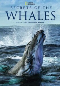 Secrets of the Whales